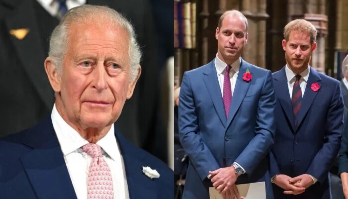 King Charles Team Reportedly Urges Prince William To Consider Meeting Prince Harry