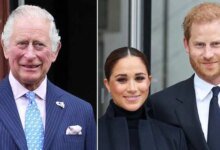 King Charles True Feelings About Prince Harry And Meghan Markle's Marriage Revealed