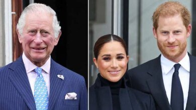 King Charles True Feelings About Prince Harry And Meghan Markle's Marriage Revealed