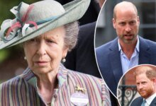 Princess Anne Could Step In As King Charles Faces Harry And William Tensions