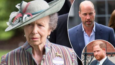 Princess Anne Could Step In As King Charles Faces Harry And William Tensions