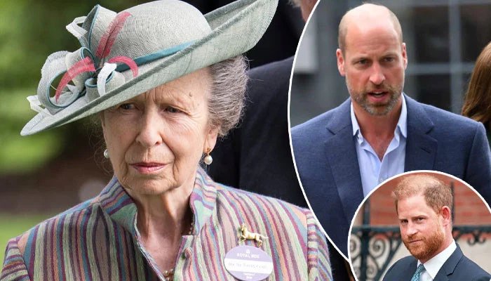 Princess Anne Could Step In As King Charles Faces Harry And William Tensions