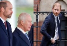 Prince William And King Charles Unite Over Harry’s Reported Royal Role After UK Return