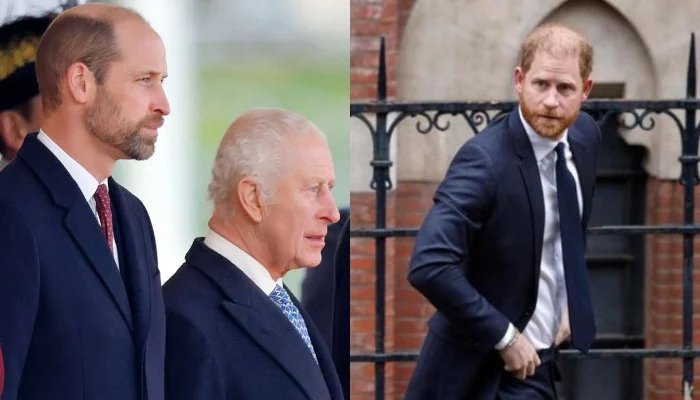 Prince William And King Charles Unite Over Harry’s Reported Royal Role After UK Return