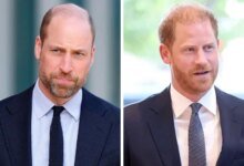 Prince William And Prince Harry Joint Appearance Speculation Grows After Diana Award Update