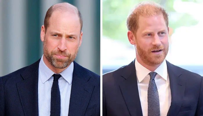 Prince William And Prince Harry Joint Appearance Speculation Grows After Diana Award Update