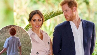 Prince Harry And Meghan Prepare UK Move As Archie’s Beloved Chicken Project Stays Behind