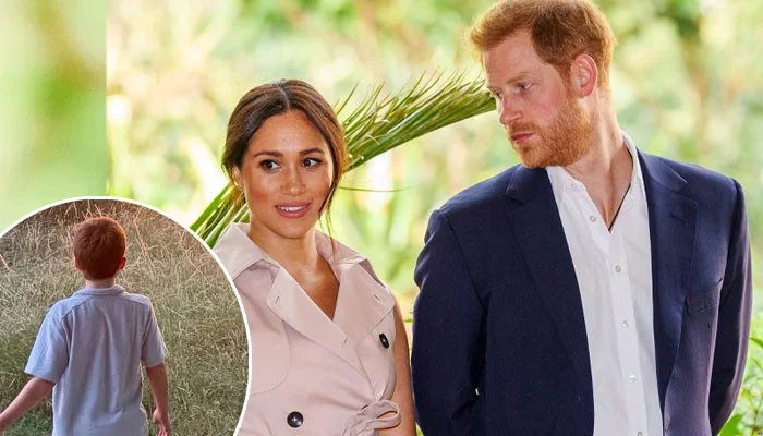 Prince Harry And Meghan Prepare UK Move As Archie’s Beloved Chicken Project Stays Behind