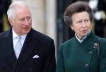 King Charles Office Issues Major Princess Anne Update After Reported Princess William Advice