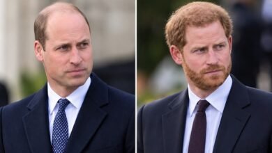 King Charles Team Reportedly Urges Prince William To Consider Meeting Prince Harry