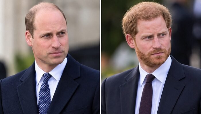 King Charles Team Reportedly Urges Prince William To Consider Meeting Prince Harry