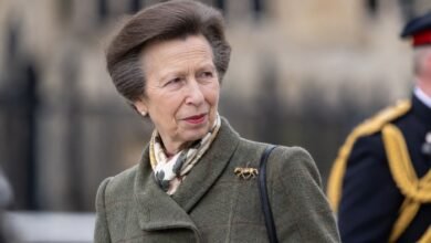 Princess Anne Viewed As Prince Harry And Meghan Markle’s Biggest Ally In Royal Family Reconciliation