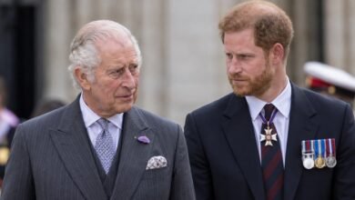 King Charles Shares Health Update As Prince Harry Returns To United Kingdom