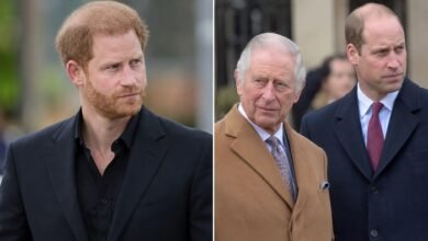 Prince Harry Takes Crucial Step To Keep King Charles and Prince William Informed About UK Return