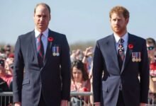 Prince William and Prince Harry Unlikely to Reunite on Princess Diana’s Death Anniversary