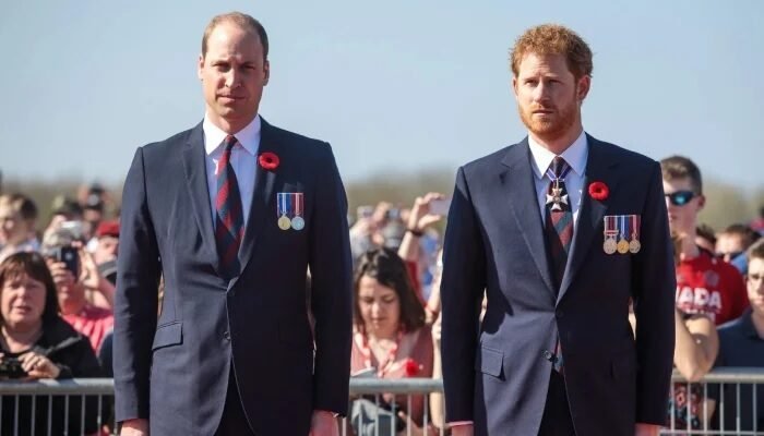 Prince William and Prince Harry Unlikely to Reunite on Princess Diana’s Death Anniversary