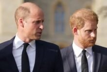 Prince William ‘Faces Major Decision’ Over Harry Reconciliation as Future Role Comes Into Focus