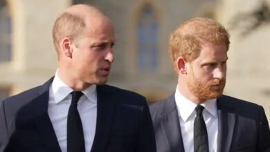 Prince William ‘Faces Major Decision’ Over Harry Reconciliation as Future Role Comes Into Focus