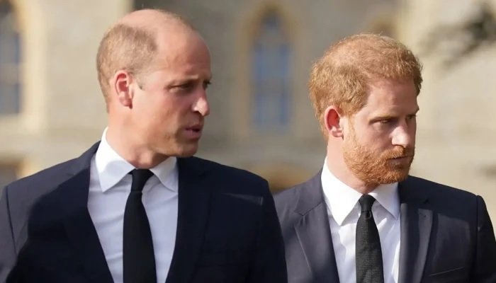 Prince William ‘Faces Major Decision’ Over Harry Reconciliation as Future Role Comes Into Focus
