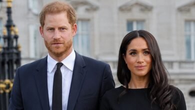 Prince William Secures King Charles Assurance as Prince Harry’s Return Sparks New Concerns