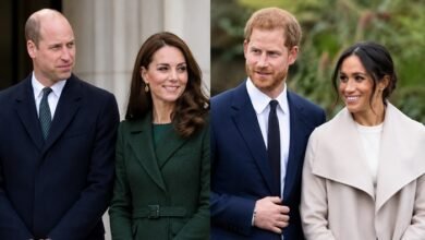 Prince William Secures King Charles Assurance as Prince Harry’s Return Sparks New Concerns