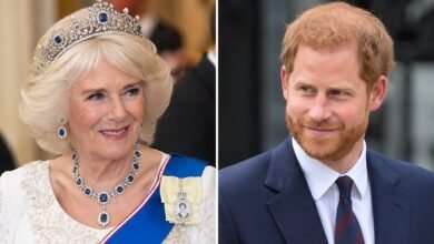 King Charles Office Issues Major Queen Camilla Update After Prince Harry Confirms UK Task