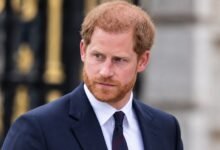 Prince Harry Reaches Out to Princess Diana’s Old Friends for Secret Plan