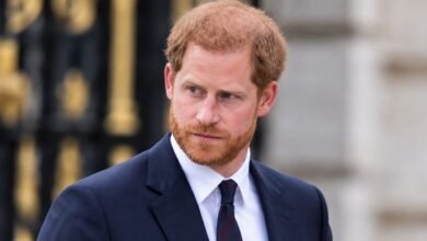 Prince Harry Reaches Out to Princess Diana’s Old Friends for Secret Plan