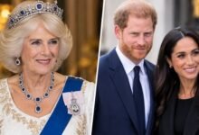 Palace Pushes Queen Camilla as Prince Harry and Meghan Markle Dominate Headlines in UK