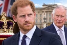 Prince Harry’s Future With Monarchy Takes Spotlight Amid King Charles Succession Speculation