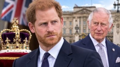 Prince Harry’s Future With Monarchy Takes Spotlight Amid King Charles Succession Speculation