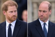Prince Harry’s Reunion With Prince William Blocked by One Major Problem