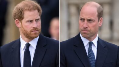 Prince Harry’s Reunion With Prince William Blocked by One Major Problem