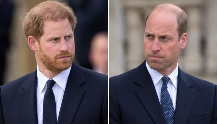 Prince Harry’s Reunion With Prince William Blocked by One Major Problem