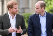 Prince Harry and Prince William Are Communicating as Reunion Hopes Reignite After UK Return