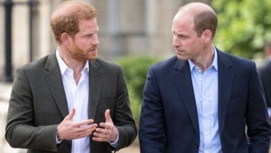 Prince Harry and Prince William Are Communicating as Reunion Hopes Reignite After UK Return