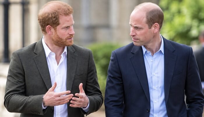 Prince Harry and Prince William Are Communicating as Reunion Hopes Reignite After UK Return