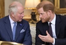 Prince Harry Urged to Hold Private Talks With King Charles Over Major Family Concern