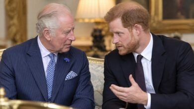 Prince Harry Urged to Hold Private Talks With King Charles Over Major Family Concern