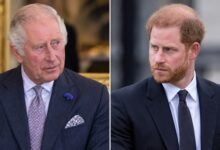 Prince Harry Sets New Priority With King Charles as Archie and Lilibet Begin UK Chapter