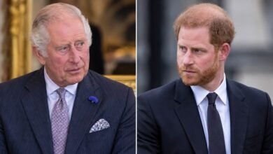 Prince Harry Sets New Priority With King Charles as Archie and Lilibet Begin UK Chapter