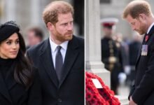 Prince Harry’s Remembrance Day Return Revealed as Sussexes Accept New Royal Reality
