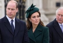 Prince William and Princess Kate Say No to King Charles Peace Plan With Harry and Meghan
