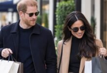Prince Harry and Meghan Markle Step Out for Archie and Lilibet Shopping as UK Life Begins