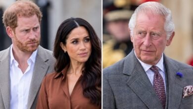 Prince Harry and Meghan Markle Make Feelings Clear Over King Charles Private Citizen Label
