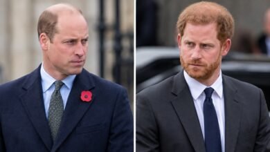 Prince William and Prince Harry’s Feud Takes Unexpected Toll on Their Last Shared Bond