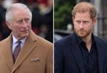 King Charles Springs Into Action After Prince Harry Dealt Major Invictus Blow