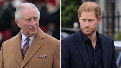 King Charles Springs Into Action After Prince Harry Dealt Major Invictus Blow