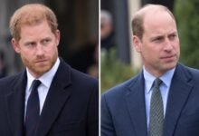 Prince Harry’s New Master Plan Leaves William With Fresh Diana Concern After Royal Win