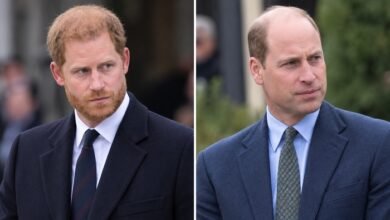 Prince Harry’s New Master Plan Leaves William With Fresh Diana Concern After Royal Win